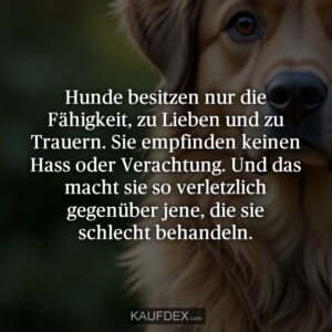 Hunde besitzen nur die Fähigkeit, zu Lieben und zu Trauern. Sie empfinden keinen Hass oder Verachtung. Und das macht sie so verletzlich gegenüber jene, die sie schlecht behandeln.