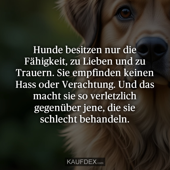 Hunde besitzen nur die Fähigkeit…