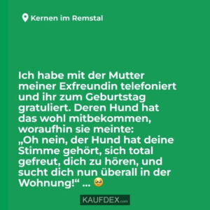 Ich habe mit der Mutter meiner Exfreundin telefoniert und ihr zum Geburtstag gratuliert. Deren Hund hat das wohl mitbekommen, woraufhin sie meinte: "Oh nein, der Hund hat deine Stimme gehört, sich total gefreut, dich zu hören, und sucht dich nun überall in der Wohnung!"