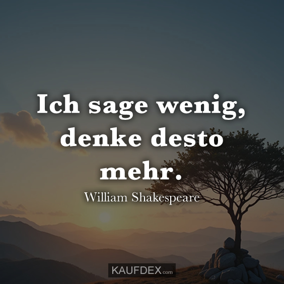 Ich sage wenig, denke desto mehr…