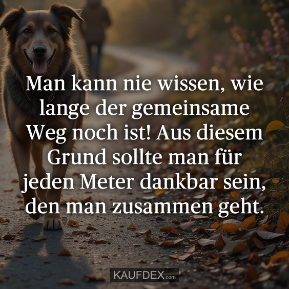 Man kann nie wissen, wie lange der gemeinsame…