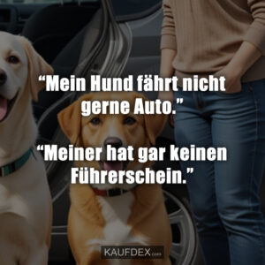 “Mein Hund fährt nicht gerne Auto.” “Meiner hat gar keinen Führerschein.”