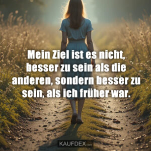 Mein Ziel ist es nicht, besser zu sein als die anderen, sondern besser zu sein, als ich früher war.
