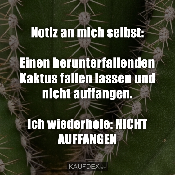 Notiz an mich selbst: Einen herunterfall…