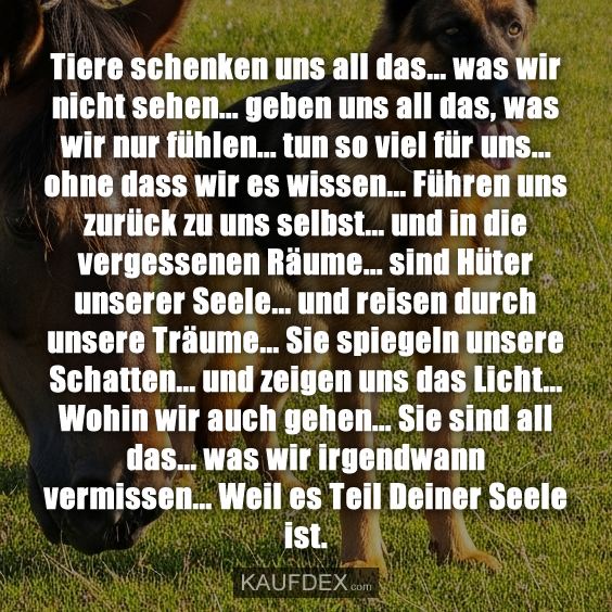 Tiere schenken uns all das…