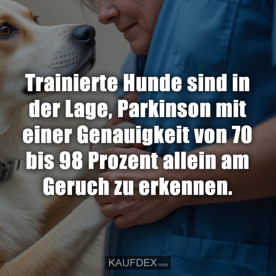 Trainierte Hunde sind in der Lage, Parkinson…
