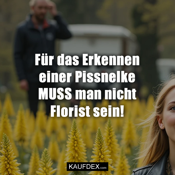 Für das Erkennen einer Pissnelke…