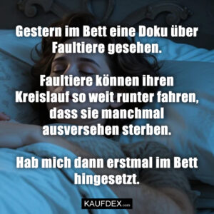Gestern im Bett eine Doku über Faultiere gesehen. Faultiere können ihren Kreislauf so weit runter fahren, dass sie manchmal ausversehen sterben. Hab mich dann erstmal im Bett hingesetzt.