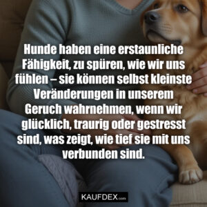 Hunde haben eine erstaunliche Fähigkeit, zu spüren, wie wir uns fühlen – sie können selbst kleinste Veränderungen in unserem Geruch wahrnehmen, wenn wir glücklich, traurig oder gestresst sind, was zeigt, wie tief sie mit uns verbunden sind.