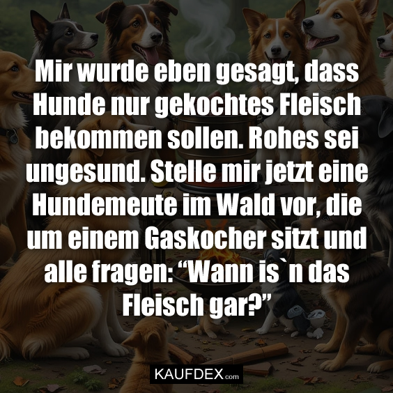 Mir wurde eben gesagt, dass Hunde nur gekochtes Fleisch bekommen sollen. Rohes sei ungesund. Stelle mir jetzt eine Hundemeute im Wald vor, die um einem Gaskocher sitzt und alle fragen: “Wann is`n das Fleisch gar?”