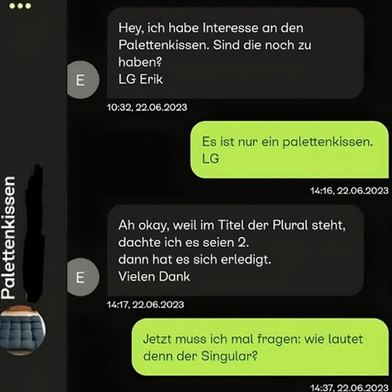 Gute Frage…. – Palettenkissen – Hey, ich…