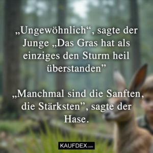 „Ungewöhnlich“, sagte der Junge „Das Gras hat als einziges den Sturm heil überstanden” „Manchmal sind die Sanften, die Stärksten”, sagte der Hase.