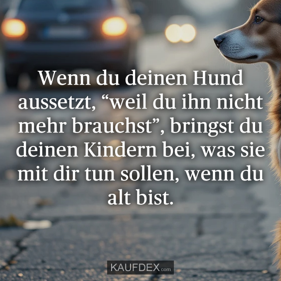 Wenn du deinen Hund aussetzt, “weil du…