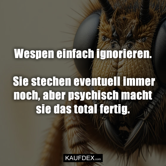 Wespen einfach ignorieren. Sie stechen…