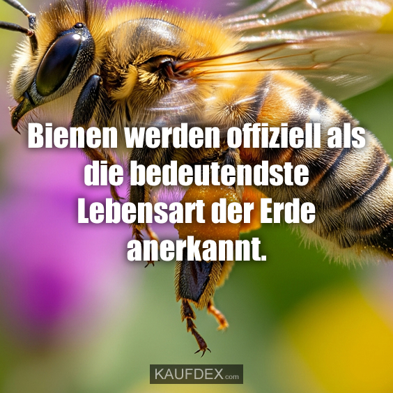 Bienen werden offiziell als die bedeutendste…