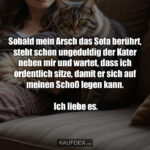Sobald mein Arsch das Sofa berührt, steht schon ungeduldig der Kater neben mir und wartet, dass ich ordentlich sitze, damit er sich auf meinen Schoß legen kann. Ich liebe es.