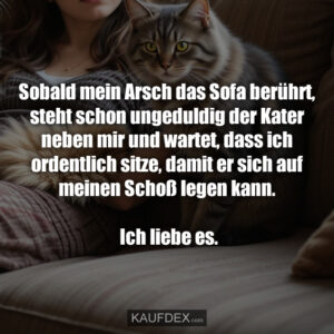 Sobald mein Arsch das Sofa berührt, steht schon ungeduldig der Kater neben mir und wartet, dass ich ordentlich sitze, damit er sich auf meinen Schoß legen kann. Ich liebe es.
