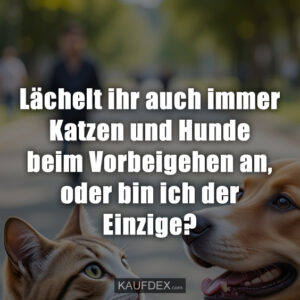 Lächelt ihr auch immer Katzen und Hunde beim Vorbeigehen an, oder bin ich der Einzige?