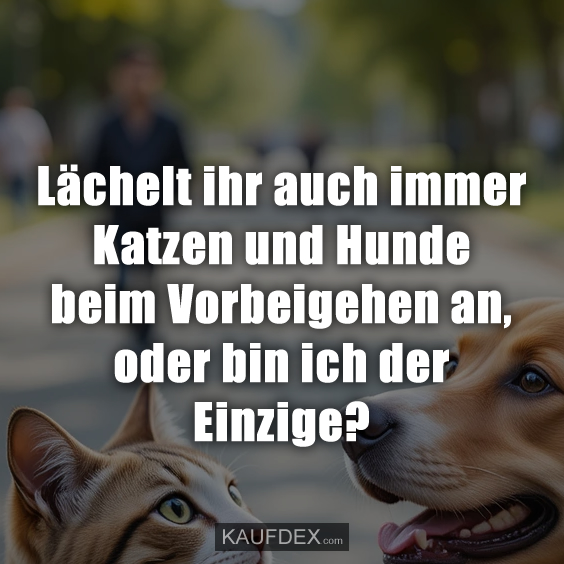 Lächelt ihr auch immer Katzen und Hunde beim Vorbeigehen an, oder bin ich der Einzige?