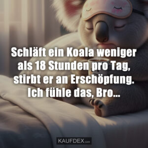 Schläft ein Koala weniger als 18 Stunden pro Tag, stirbt er an Erschöpfung. Ich fühle das, Bro...