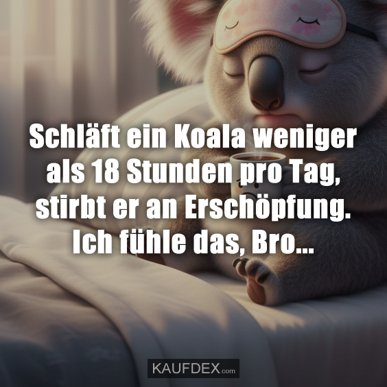 Schläft ein Koala weniger als 18 Stunden pro Tag, stirbt er an Erschöpfung. Ich fühle das, Bro...