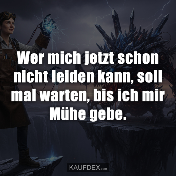 Wer mich jetzt schon nicht leiden kann, soll mal warten, bis ich mir Mühe gebe.