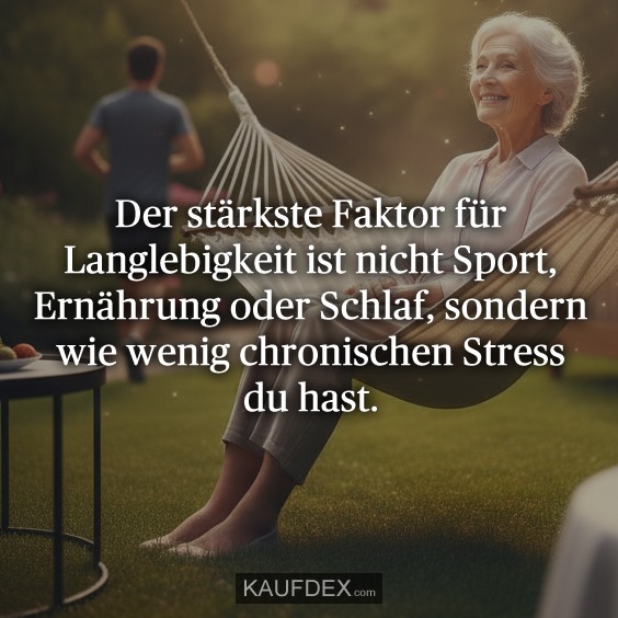 Der stärkste Faktor für Langlebigkeit ist nicht Sport, Ernährung oder Schlaf, sondern wie wenig chronischen Stress du hast.