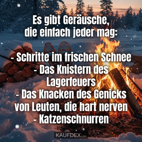 Es gibt Geräusche, die einfach jeder mag: - Schritte im frischen Schnee - Das Knistern des Lagerfeuers - Das Knacken des Genicks von Leuten, die hart nerven - Katzenschnurren