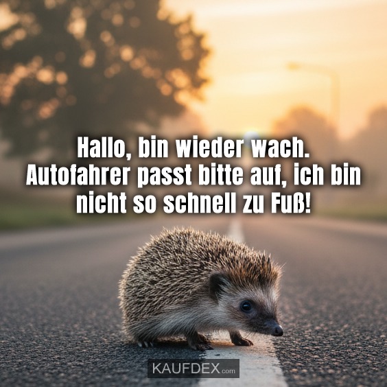 Hallo, bin wieder wach. Autofahrer passt bitte auf, ich bin nicht so schnell zu Fuß!