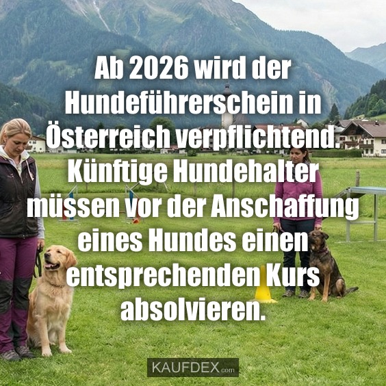 Ab 2026 wird der Hundeführerschein in Österreich verpflichtend. Künftige Hundehalter müssen vor der Anschaffung eines Hundes einen entsprechenden Kurs absolvieren.