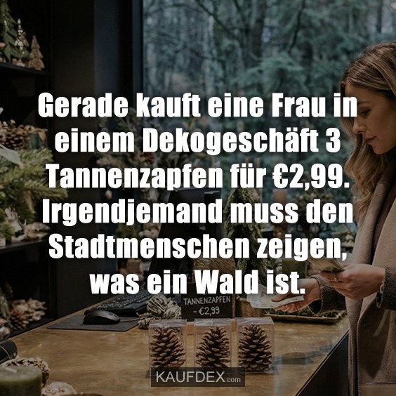 Gerade kauft eine Frau in einem Dekogeschäft 3 Tannenzapfen für €2,99. Irgendjemand muss den Stadtmenschen zeigen, was ein Wald ist.