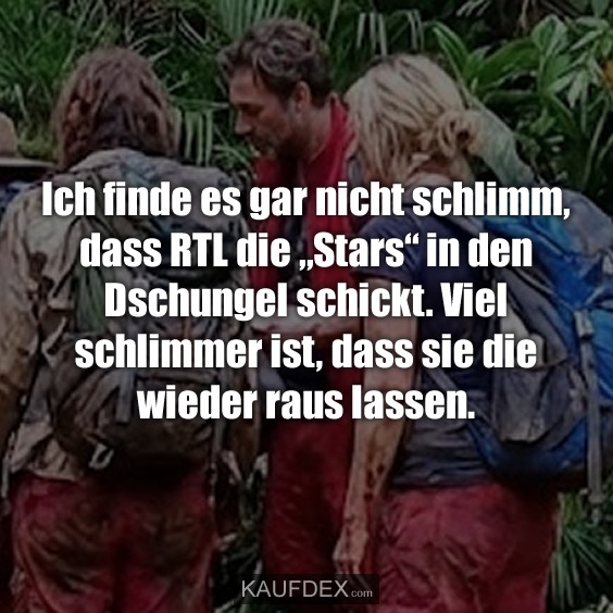 Ich finde es gar nicht schlimm, dass RTL die „Stars“ in den Dschungel schickt. Viel schlimmer ist, dass sie die wieder raus lassen.