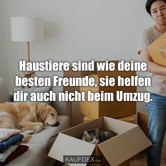 Haustiere sind wie deine besten Freunde, sie helfen dir auch nicht beim Umzug.