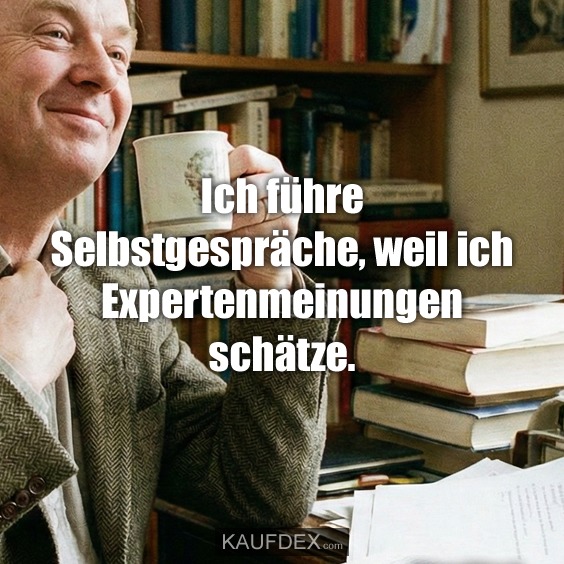 Ich führe Selbstgespräche, weil ich Expertenmeinungen schätze.