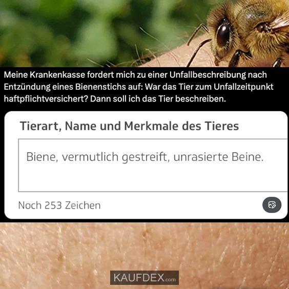 Meine Krankenkasse fordert mich zu einer Unfallbeschreibung nach Entzündung eines Bienenstichs auf: War das Tier zum Unfallzeitpunkt haftpflichtversichert? Dann soll ich das Tier beschreiben. Tierart, Name und Merkmale des Tieres Biene, vermutlich gestreift, unrasierte Beine.