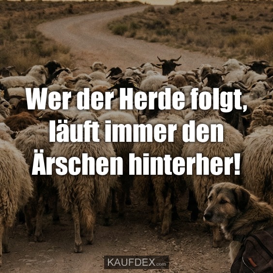 Wer der Herde folgt, läuft immer den Ärschen hinterher!