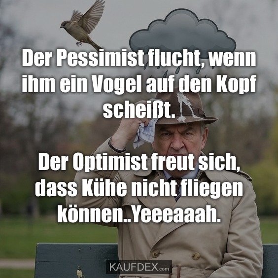 Der Pessimist flucht, wenn ihm ein Vogel auf den Kopf scheißt. Der Optimist freut sich, dass Kühe nicht fliegen können..Yeeeaaah.