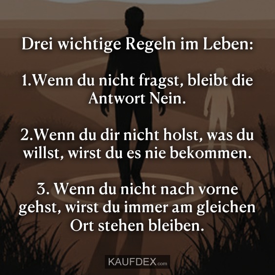 Drei wichtige Regeln im Leben: 1.Wenn du nicht fragst, bleibt die Antwort Nein. 2.Wenn du dir nicht holst, was du willst, wirst du es nie bekommen. 3. Wenn du nicht nach vorne gehst, wirst du immer am gleichen Ort stehen bleiben.