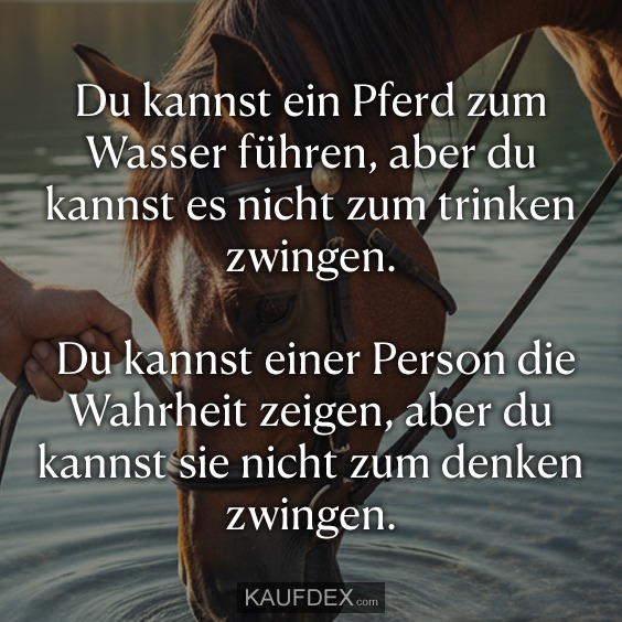 Du kannst ein Pferd zum Wasser führen, aber du kannst es nicht zum trinken zwingen. Du kannst einer Person die Wahrheit zeigen, aber du kannst sie nicht zum denken zwingen.