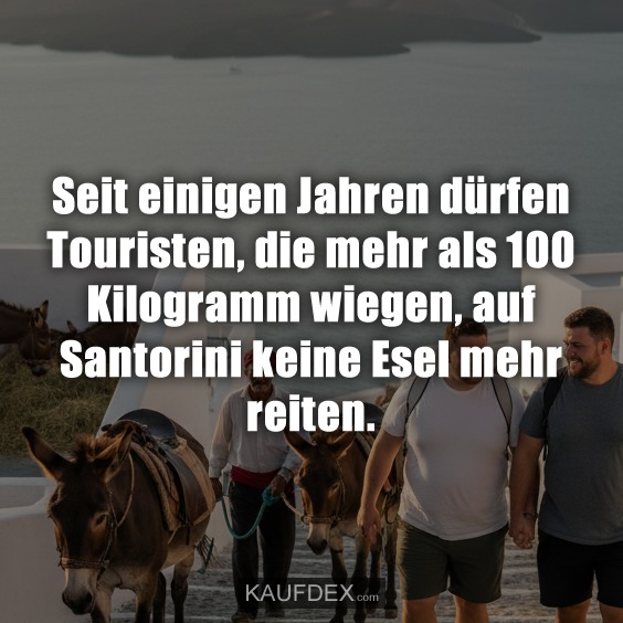 Seit einigen Jahren dürfen Touristen, die mehr als 100 Kilogramm wiegen, auf Santorini keine Esel mehr reiten.
