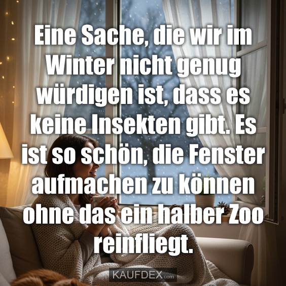 Eine Sache, die wir im Winter nicht genug würdigen ist, dass es keine Insekten gibt. Es ist so schön, die Fenster aufmachen zu können ohne das ein halber Zoo reinfliegt.
