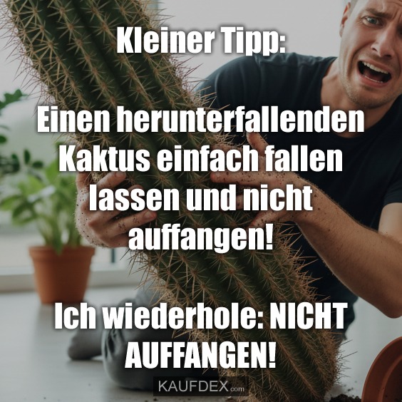Kleiner Tipp: Einen herunterfallenden Kaktus einfach fallen lassen und nicht auffangen! Ich wiederhole: NICHT AUFFANGEN!