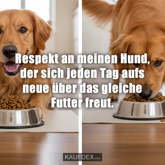 Respekt an meinen Hund, der sich jeden Tag aufs neue über das gleiche Futter freut.