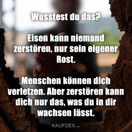 Wusstest du das? Eisen kann niemand zerstören, nur sein eigener Rost. Menschen können dich verletzen. Aber zerstören kann dich nur das, was du in dir wachsen lässt.