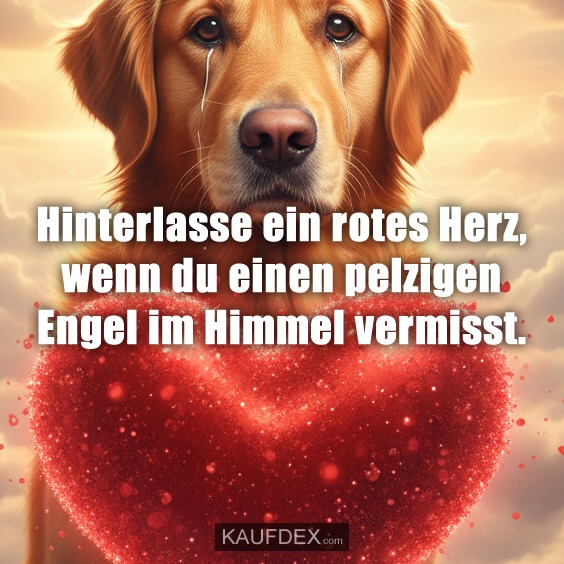 Hinterlasse ein rotes Herz, wenn du einen pelzigen Engel im Himmel vermisst.