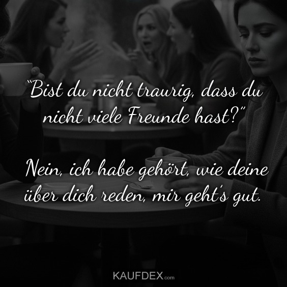 “Bist du nicht traurig, dass du nicht viele Freunde hast?” Nein, ich habe gehört, wie deine über dich reden, mir geht’s gut.