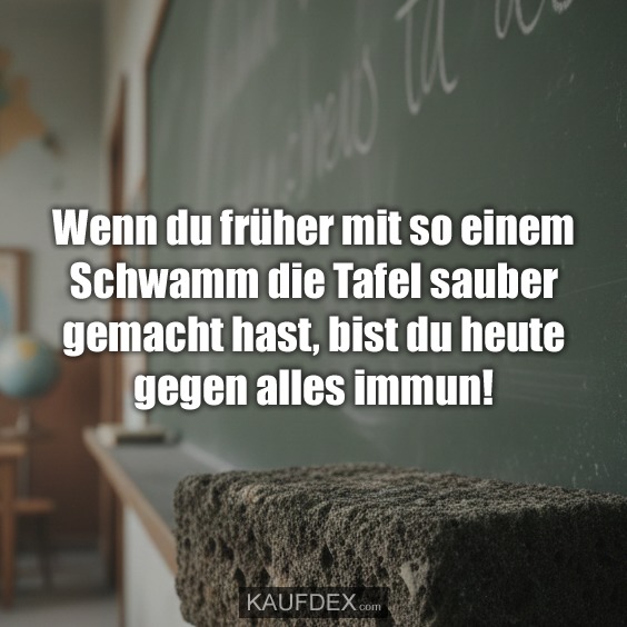 Wenn du früher mit so einem Schwamm die Tafel sauber gemacht hast, bist du heute gegen alles immun!