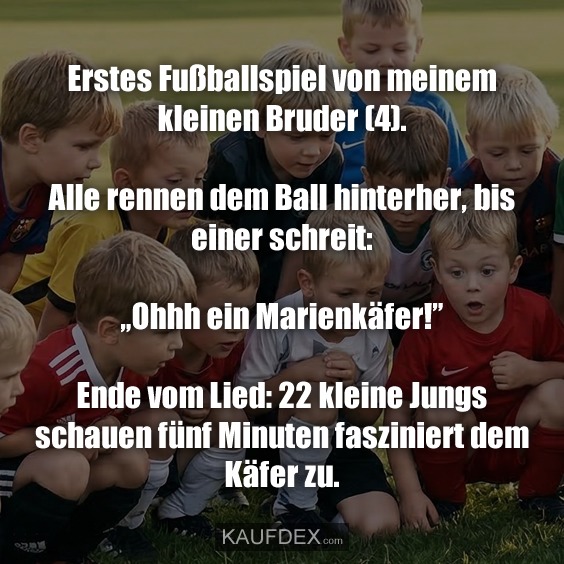 Erstes Fußballspiel von meinem kleinen Bruder (4). Alle rennen dem Ball hinterher, bis einer schreit: „Ohhh ein Marienkäfer!" Ende vom Lied: 22 kleine Jungs schauen fünf Minuten fasziniert dem Käfer zu.