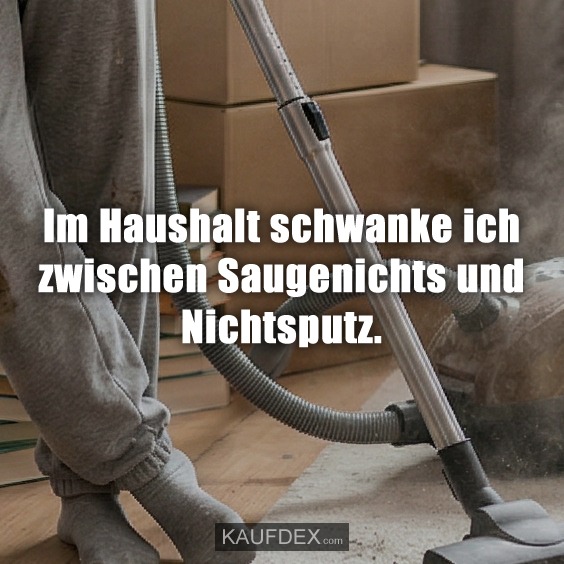 Im Haushalt schwanke ich zwischen Saugenichts und Nichtsputz.