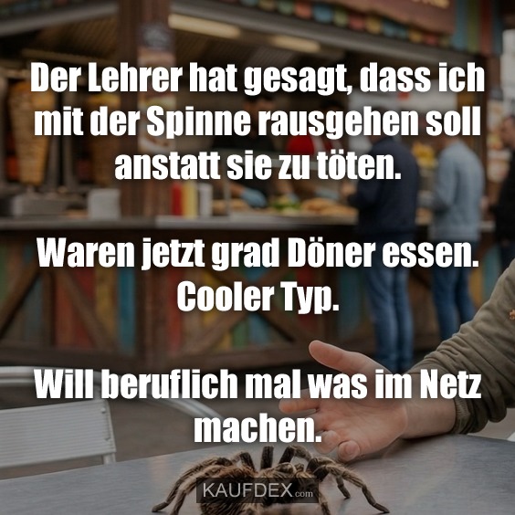 Der Lehrer hat gesagt, dass ich mit der Spinne rausgehen soll anstatt sie zu töten. Waren jetzt grad Döner essen. Cooler Typ. Will beruflich mal was im Netz machen.